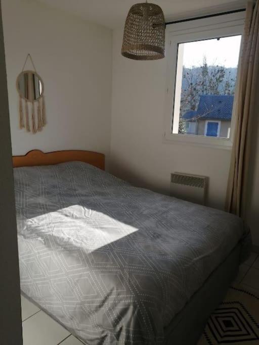Appartement Calme Et Propre Le Goelia Сен-Женье-д'Оль Экстерьер фото